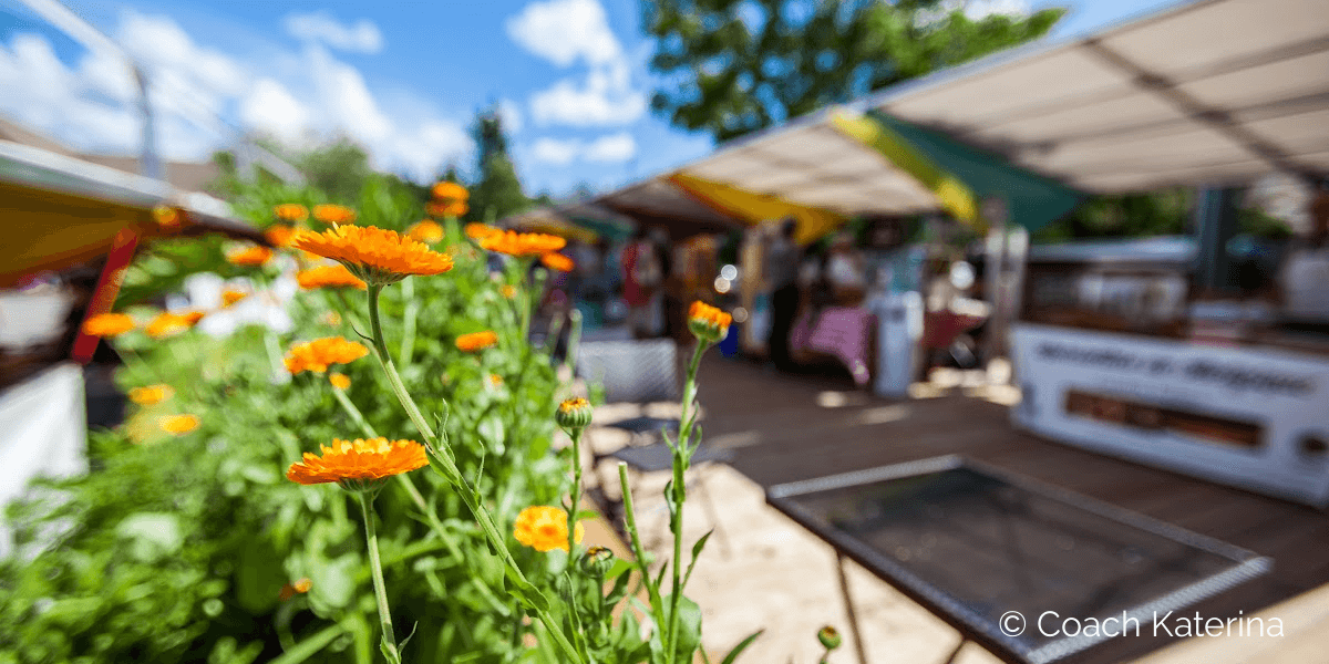 See you at the Sunset Farmer's Market where we can buy an abundance of fresh produce a few minutes away from Provo Utah....