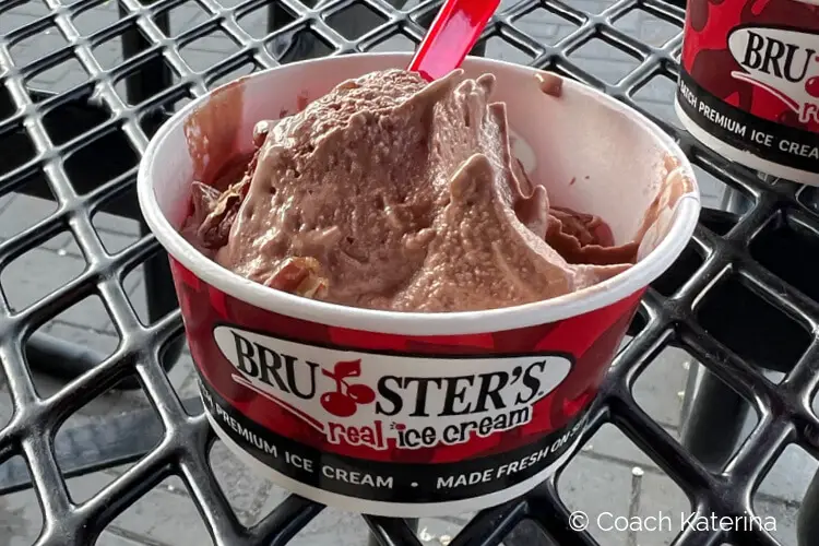 Double Chocolate Ice Cream at Bruster's Real Ice Cream in Provo