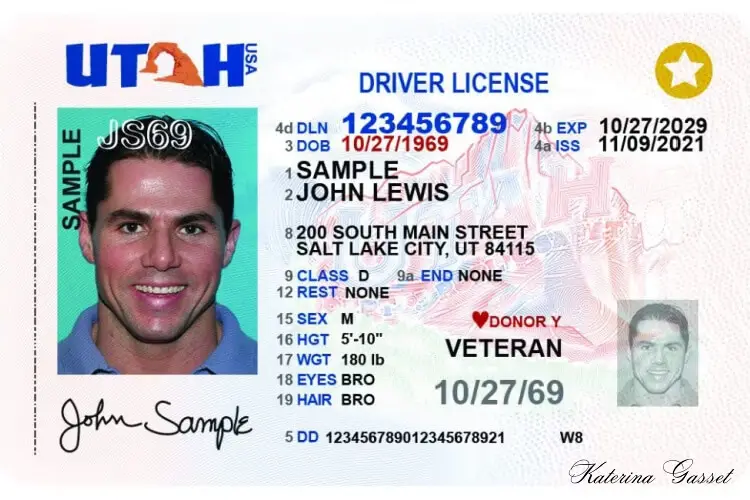 Sample Driver's License from the DLD website