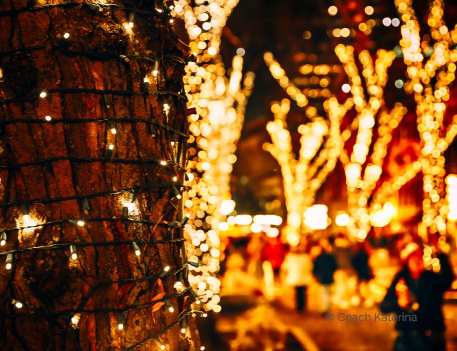 Experience the enchanting glow of Christmas lights in The Orchard, Orem, Utah. A festive display of holiday magic and seasonal cheer for all to enjoy.