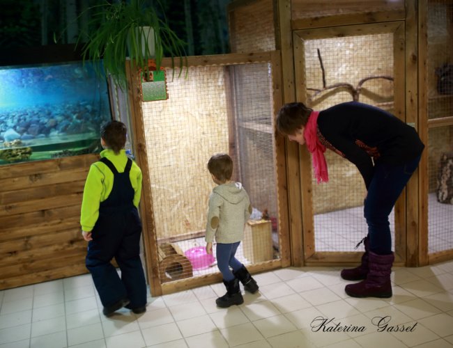 FHE (Family Home Evening) activity at the BYU Museum of Art in Provo, Utah, showcasing families engaging with art exhibits in an educational setting.