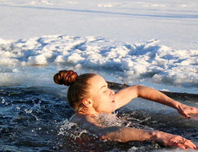 Frigid 5k and Penguin Plunge 2024 event in Provo, Utah, showing runners braving the cold and participants diving into icy water for the plunge.