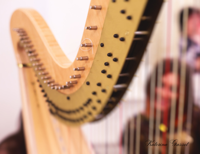 Valentine’s Day harpist performing romantic melodies in Orem, Utah