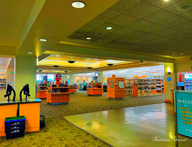 Image showing shelves full of books at the Provo City Library at Academy Square. Photo captured by Katerina Gasset of the Gasset Group Real Estate Team in Utah...