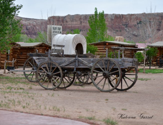 Activities and vendors at Cedar City Pioneer Day Celebration in Main Street Park, Utah