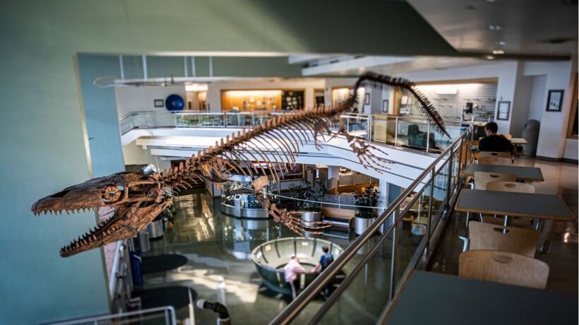 Brigham Young University Museum of Paleontology in Provo Utah